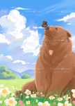 Mocha The Bear