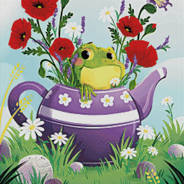 Spring Frog